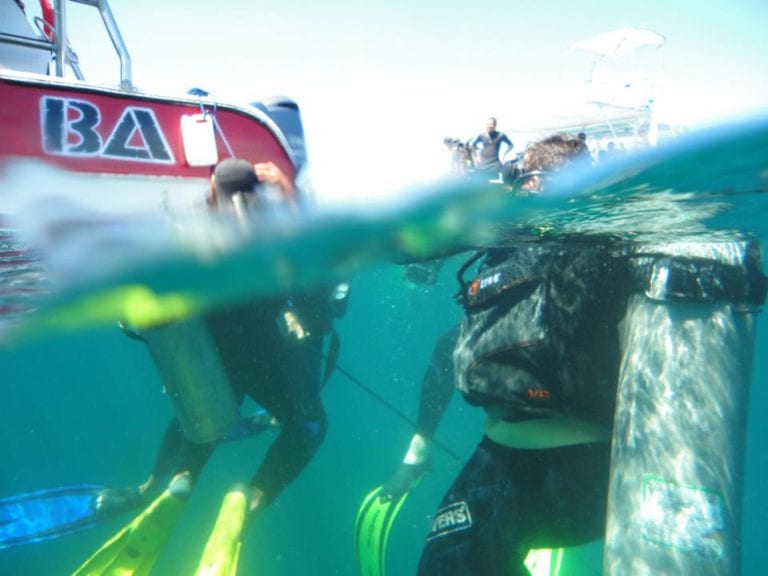 Snorkeling Tour Guanacaste Tours